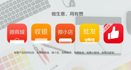 企業(yè)店鋪的最終選擇 有贊代運(yùn)營(yíng)