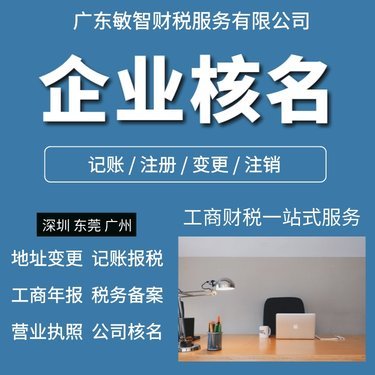 代辦公司注冊 商務(wù)服務(wù)